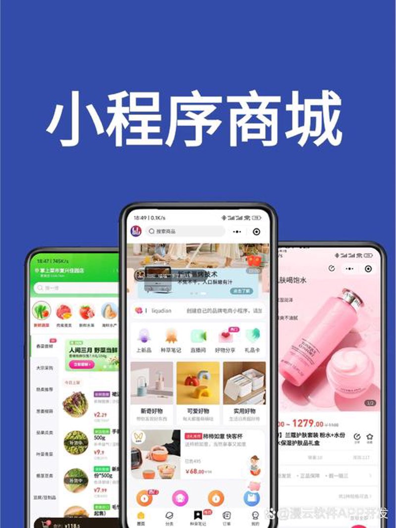 小程序开发:引领移动应用新时代